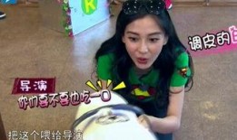 娱乐吃瓜酱笑声在线观看,笑翻网络！娱乐吃瓜酱笑声盛宴在线观看